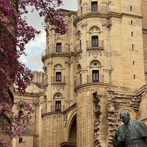 https://letmalaga-cathedral.1costadelsol.com