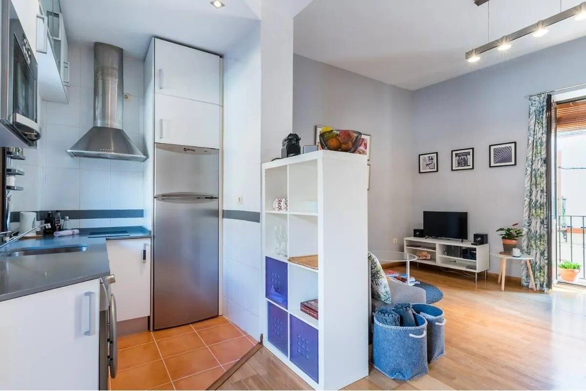 Apartamento Deluxe Terrace. Alameda Sevilla Apartmán